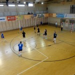 Handball 2013 (1)