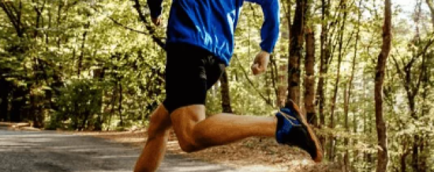 Indywidualne Biegi Przełajowe – Półfinały Wojewódzkie