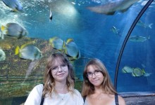 556593421_1397907982338703_5366088237492524453_n