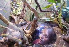 556950670_1397907889005379_7209772597852931122_n