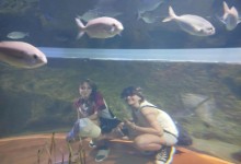 557720213_1397907742338727_4943392480357570865_n