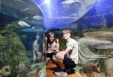 556457540_1397907672338734_7013670774143067188_n