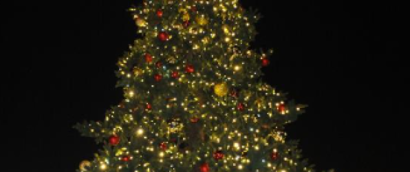 Rozświetlenie choinki miejskiej
