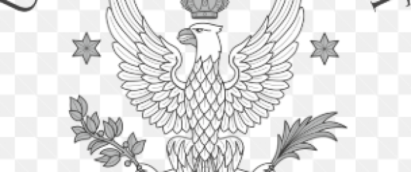 Zajęcia na Uniwersytecie Warszawskim