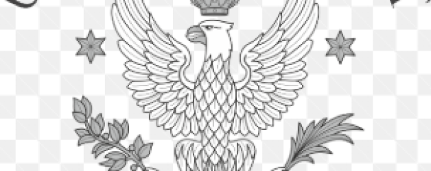 Zajęcia na Uniwersytecie Warszawskim