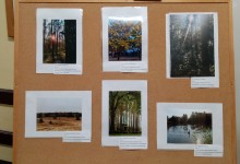 IMG_20211116_145612