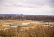 Biebrzański Park Narodowy (1)